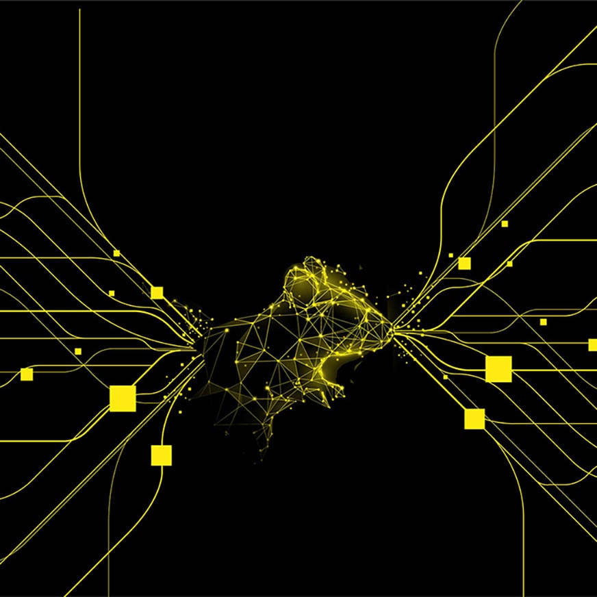 Living Image Synergy category page hero