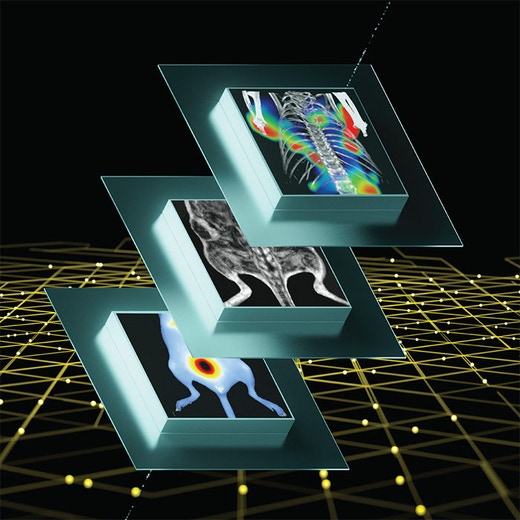 Living Image Synergy AI