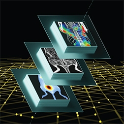 living image synergy