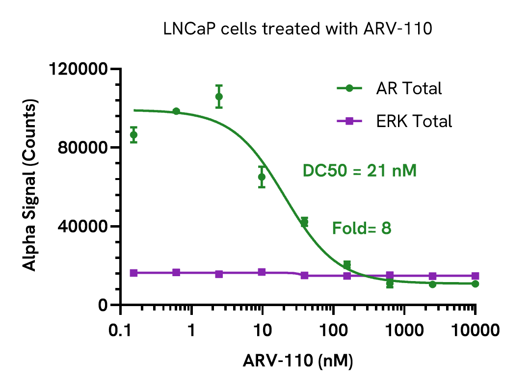 Pharmacological Validation (Degradation) of AR Total assay