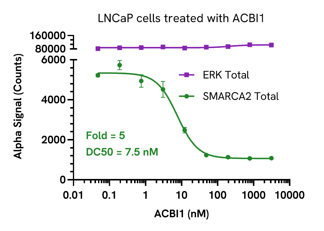 Pharmacological Validation (Inhibition) of SMARCA2 Total assay