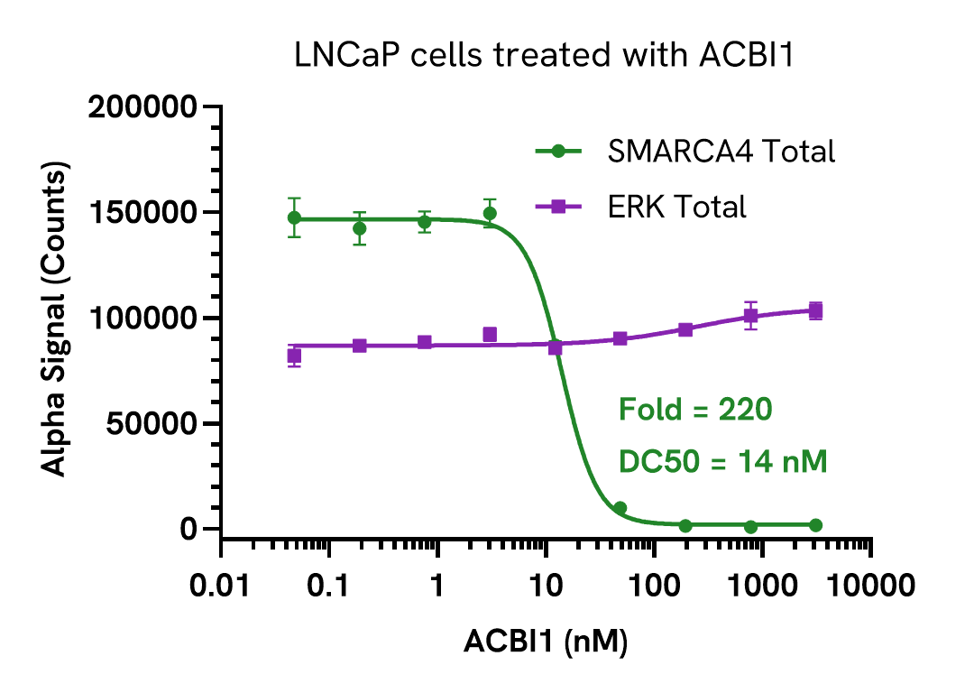 Pharmacological Validation (Inhibition) of SMARCA4 Total assay