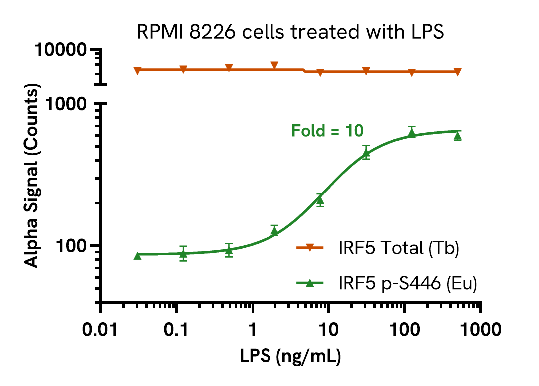 Pharmacological validation (activation) of Phospho IRF5 + Total assay