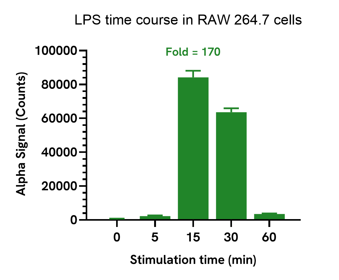 Induction of JNK phosphorylation in various cell types