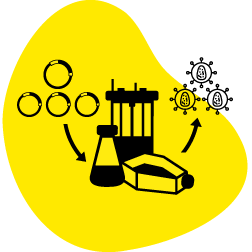 Viral Vector Manufacturing