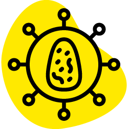 Viral Vector Tropism