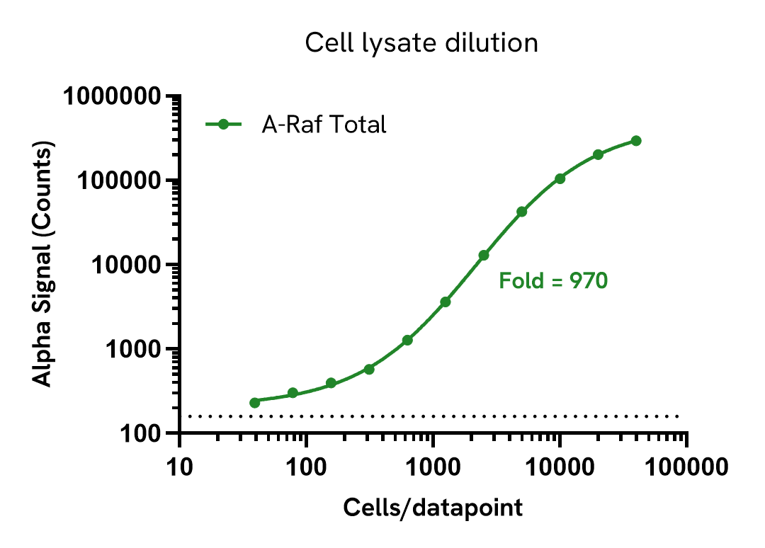 Assay sensitivity – lysate dilution