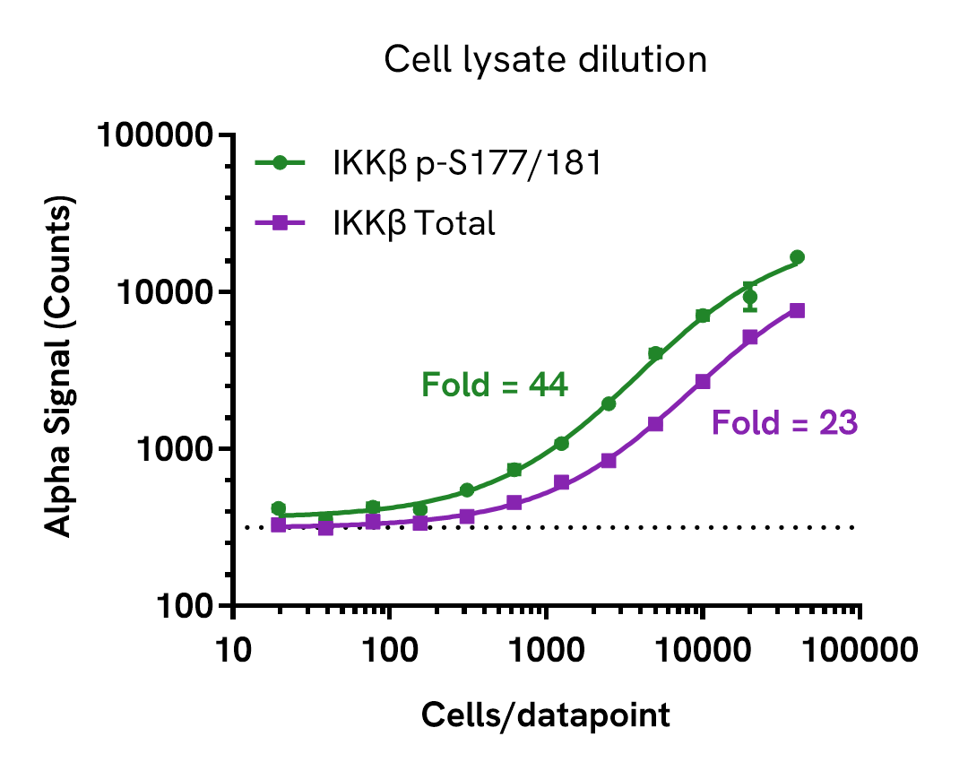 Assay Sensitivity – Lysate dilution