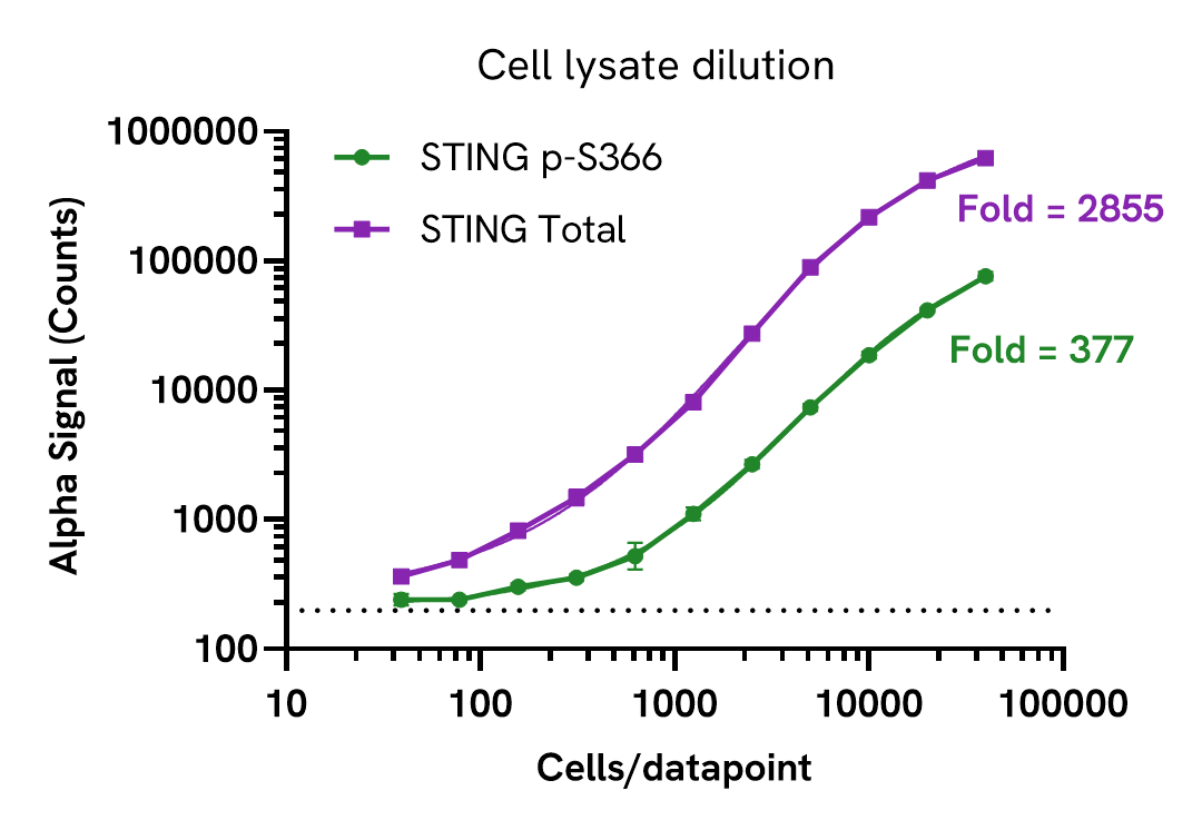 STING p-S366 (Human) assay sensitivity – Positive control lysate dilution