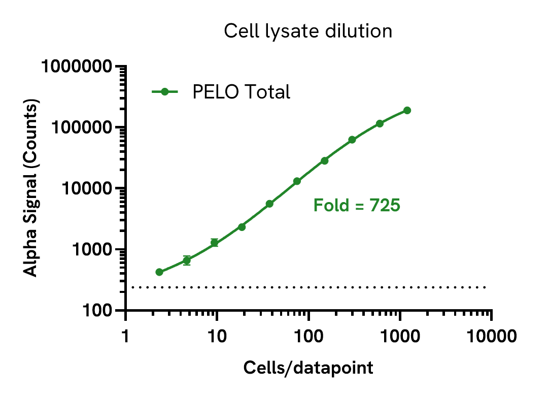 Assay sensitivity – lysate dilution