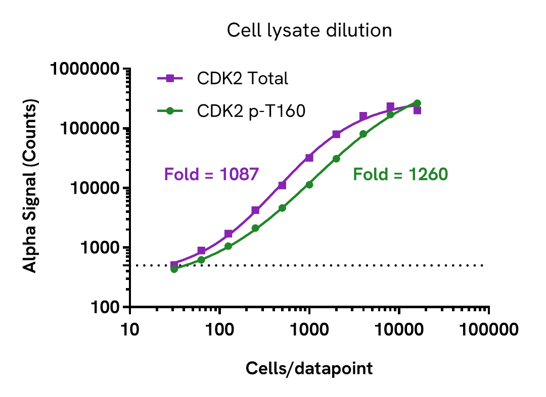 CDK2 Phospho (Thr160) assay sensitivity