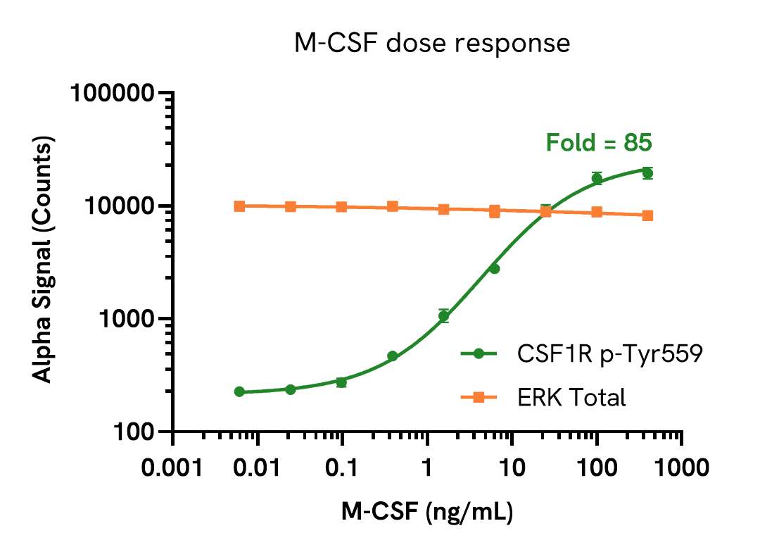 Pharmacological Validation (activator) of CSF1R Tyr559