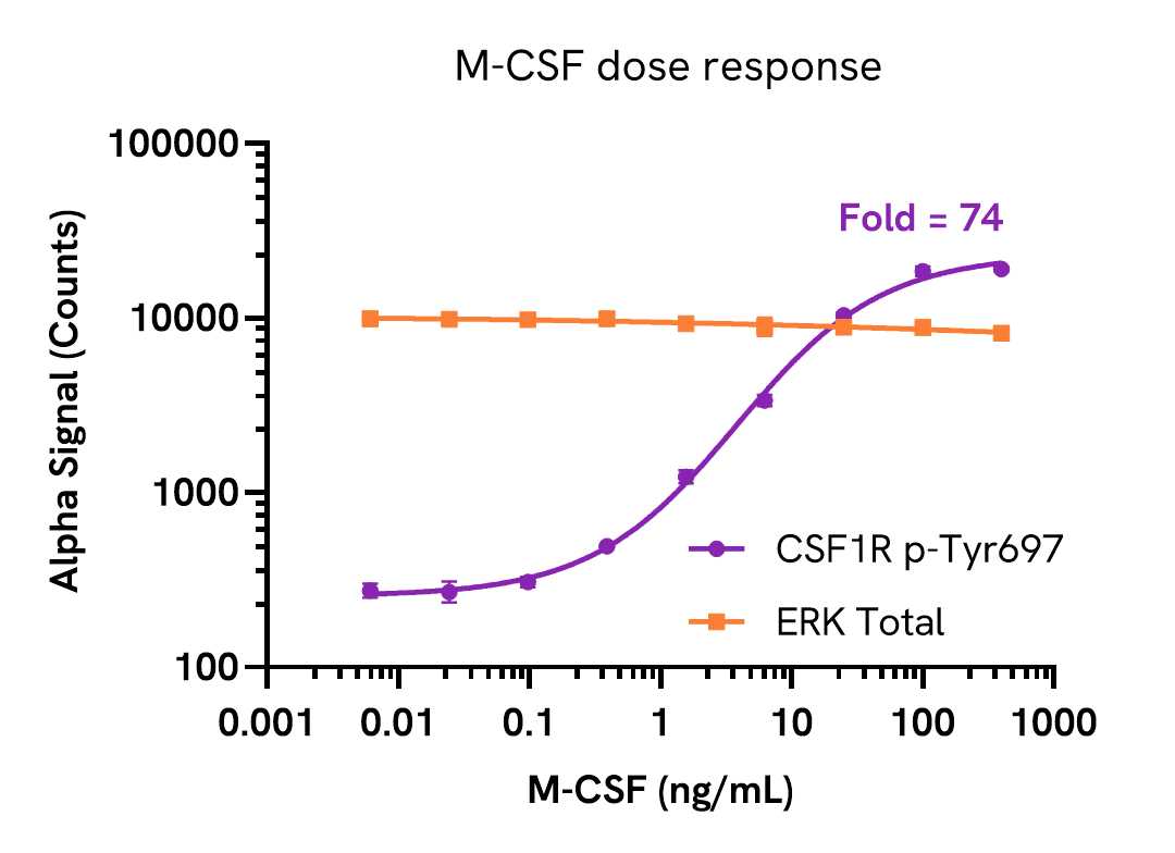 Pharmacological Validation (activator) of CSF1R Tyr697