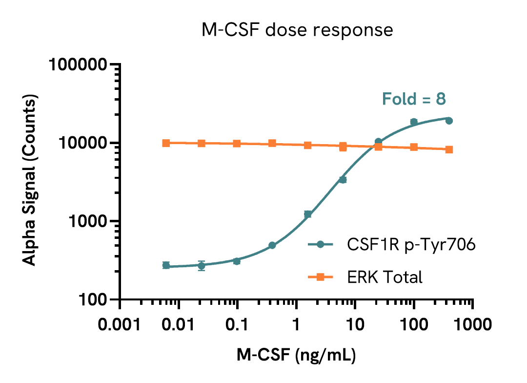 Pharmacological Validation (activator) of CSF1R Tyr706