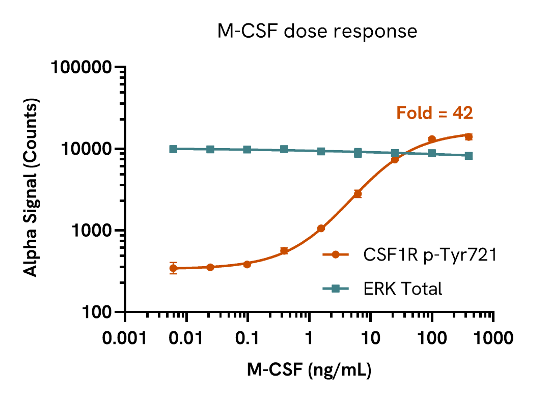Pharmacological Validation (activator) of CSF1R Tyr721