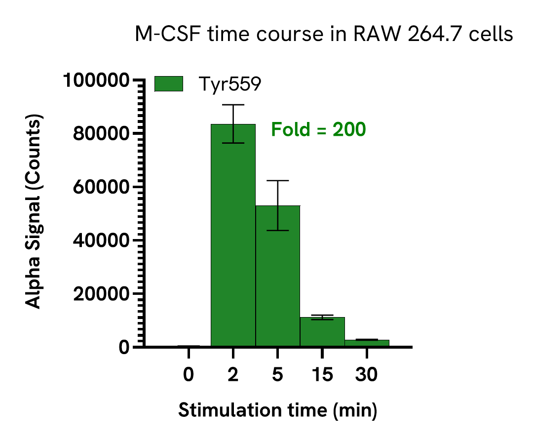 Pharmacological Validation (activator) of CSF1R Tyr559