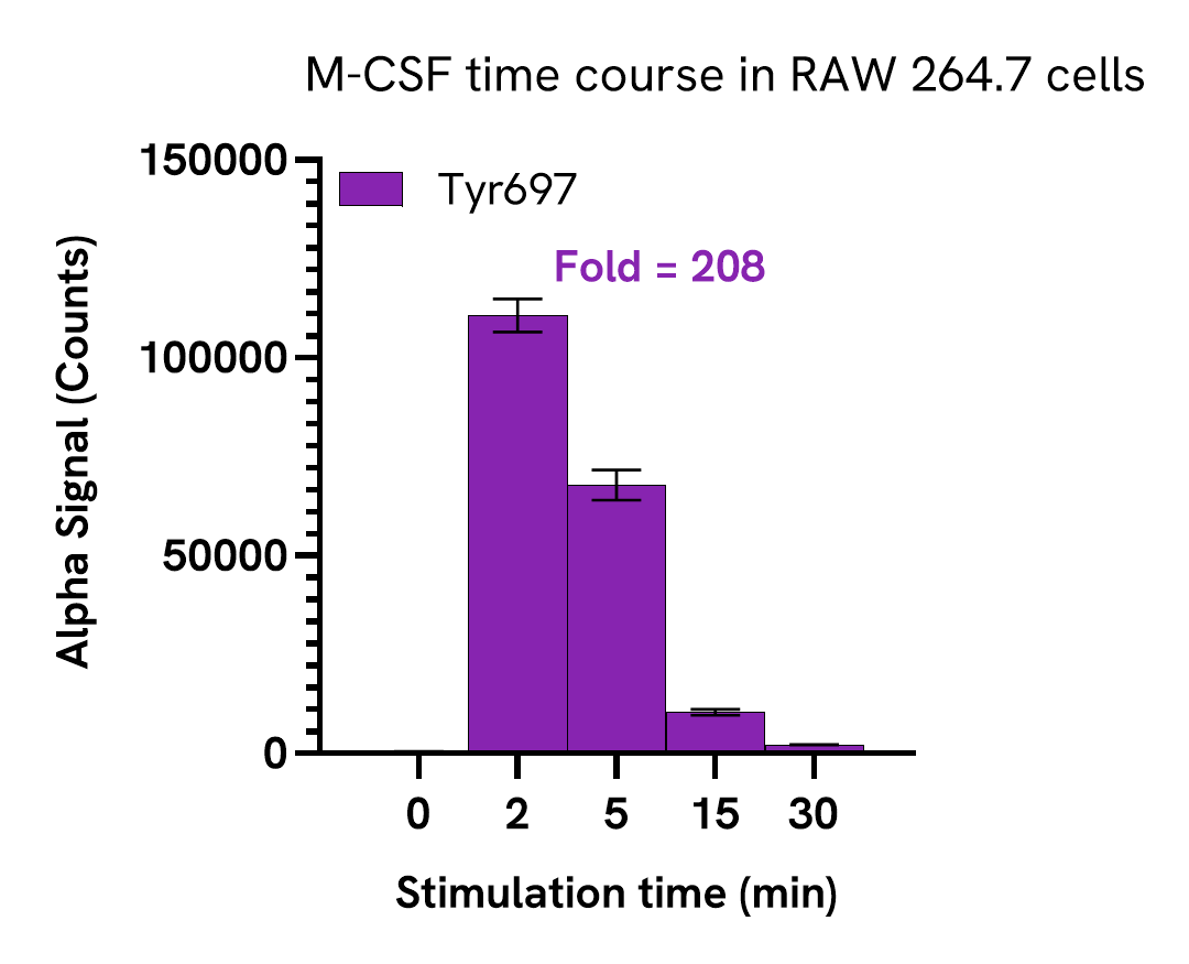 Pharmacological Validation (activator) of CSF1R Tyr697