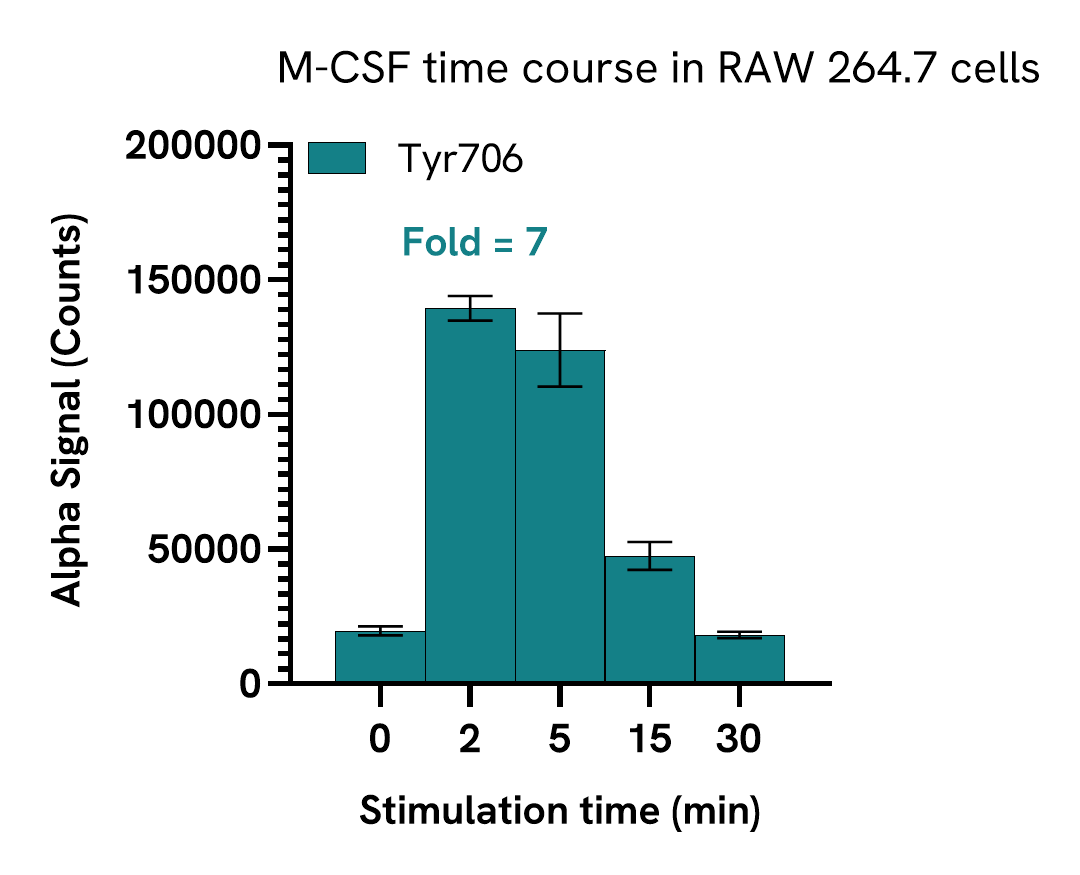 Pharmacological Validation (activator) of CSF1R Tyr706