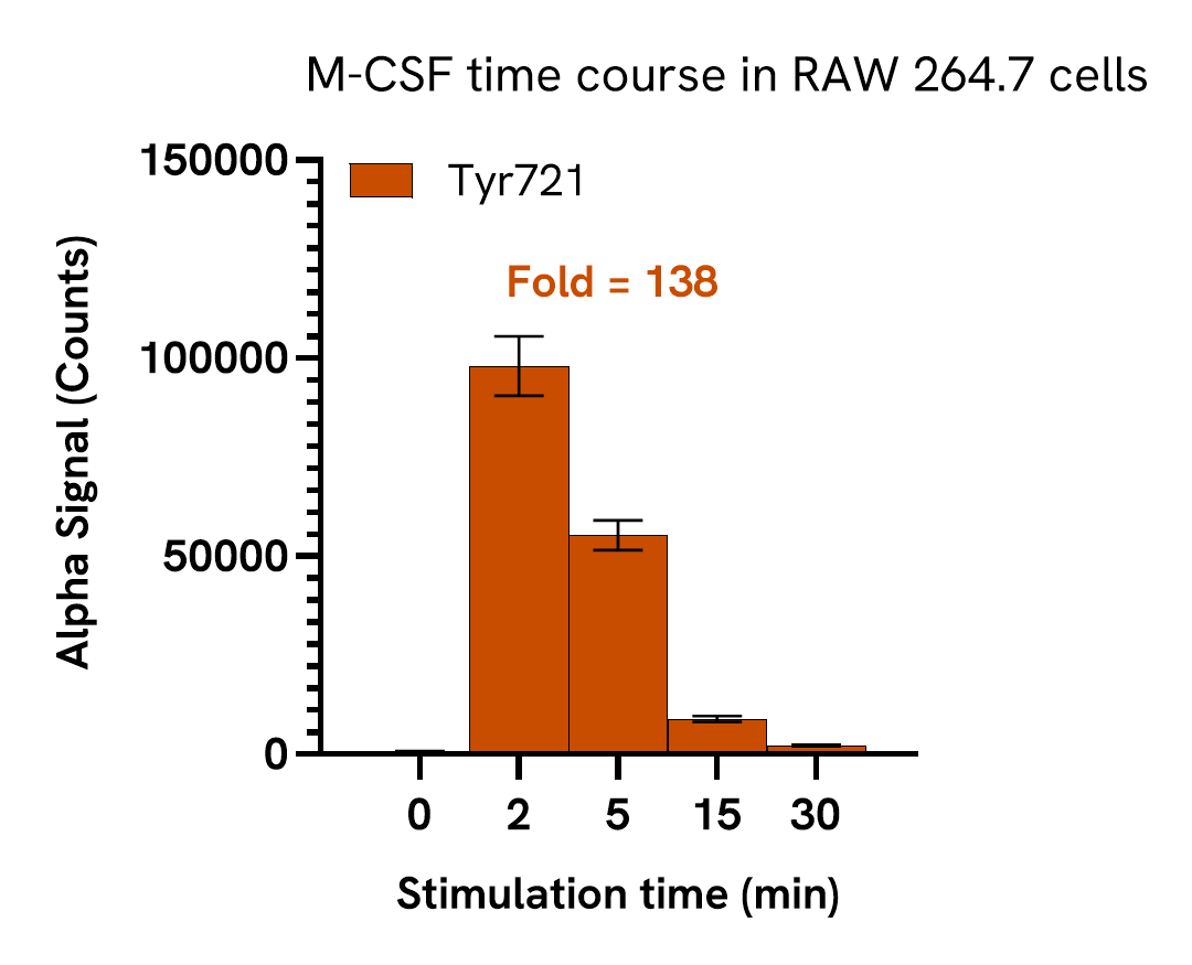Pharmacological Validation (activator) of CSF1R Tyr721