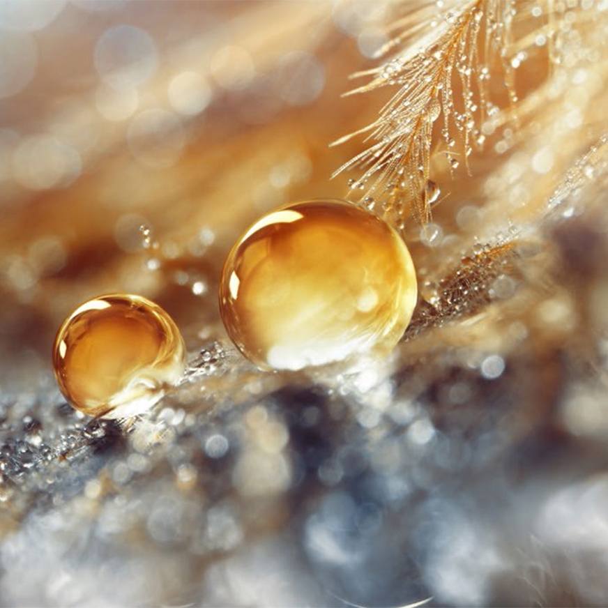 img-mash-masld-hero872x872