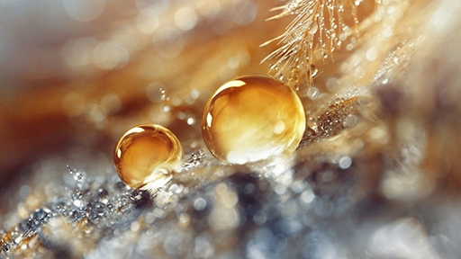 img-mash-masld-thumbnail-512x288