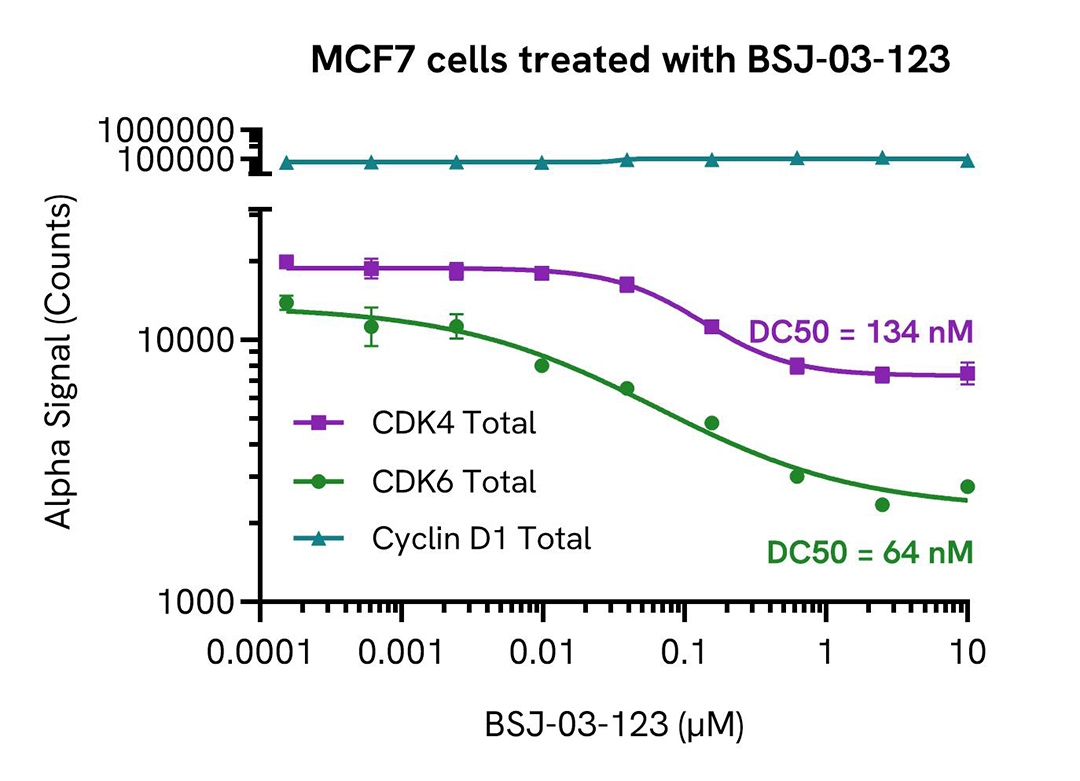 MCF7 cells treated with BSJ 03 123