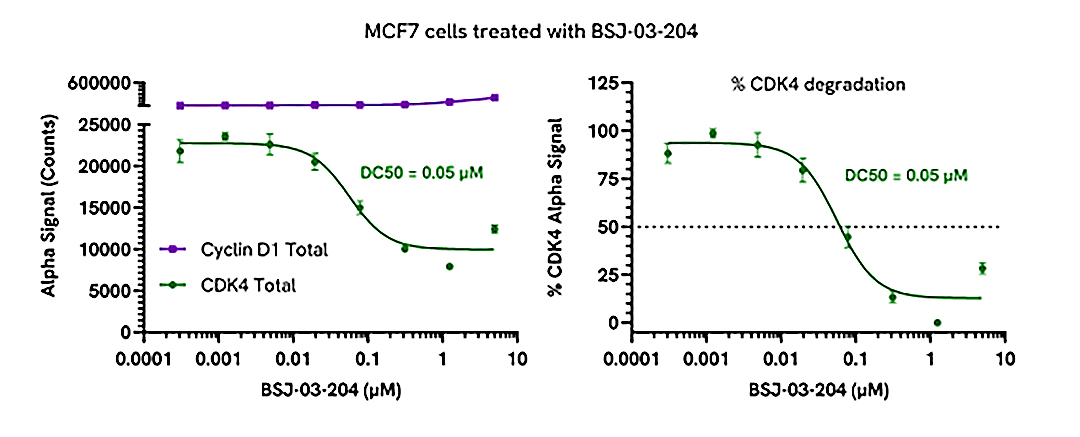 PROTAC mediated degradation of CDK4