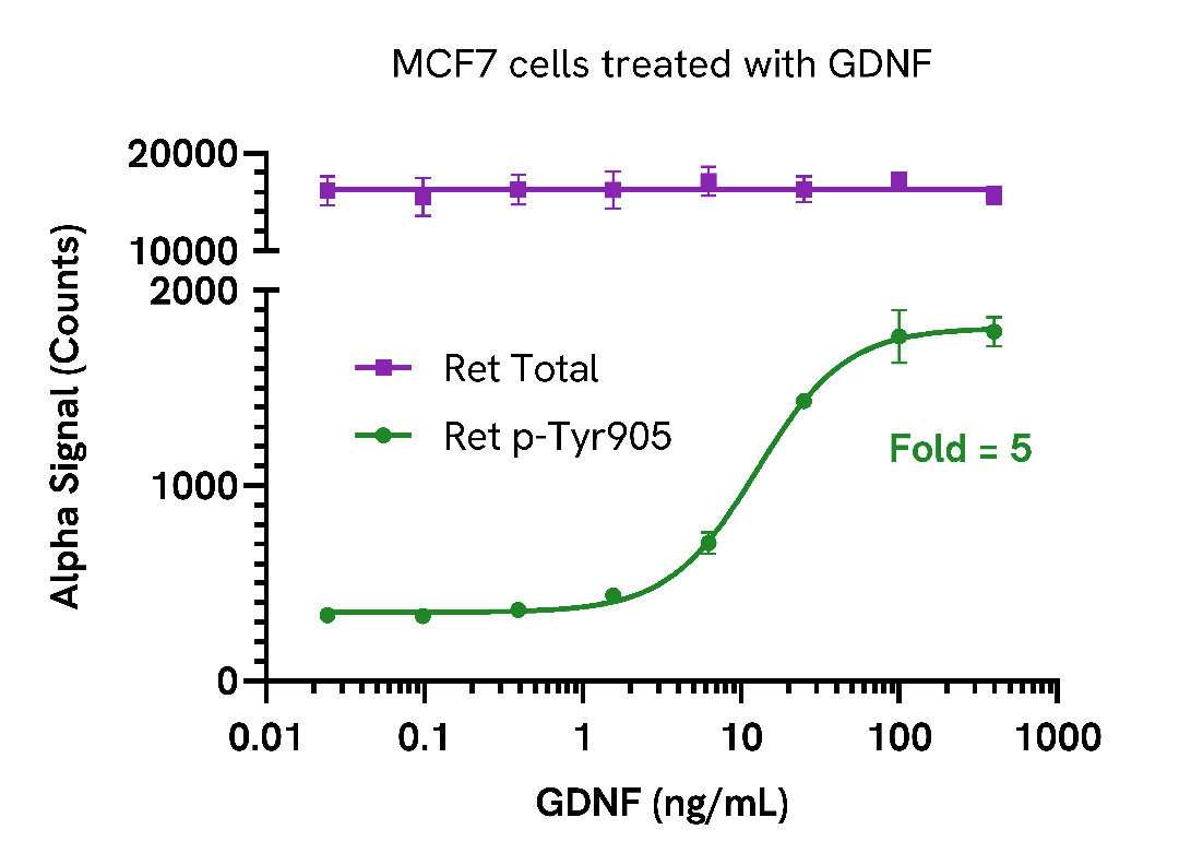 GDNF activation of Ret Phospho (Tyr905)