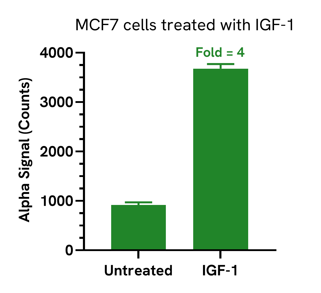Pharmacological Validation (activator) of Phospho-FOXO1 (Ser256)