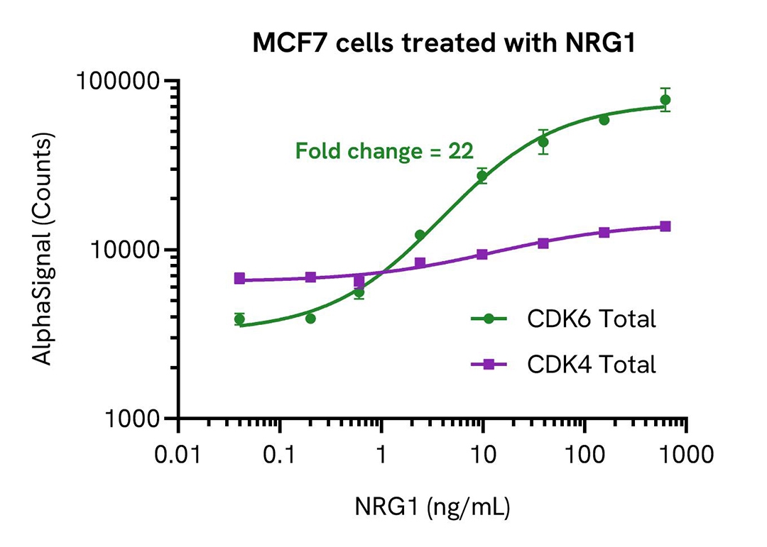 MCF7 cells treated with NRG1