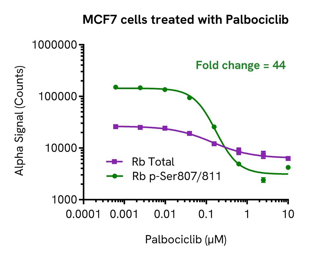mcf7 cells treated with palbociclib alsu prb a