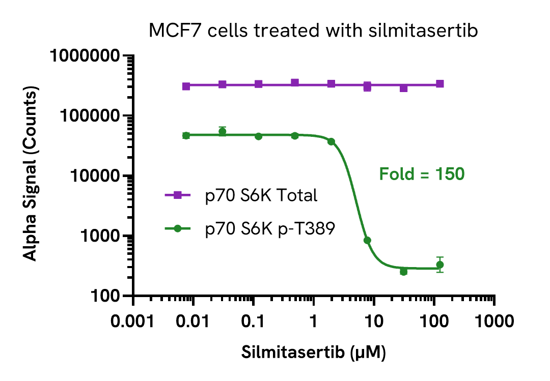 Validation of p70 S6K Total in MCF7 cells