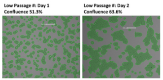 Measure Passage Number-Dependent Cell Proliferation
