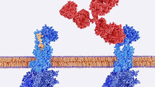 Mechanism-of-action and resistance mapping