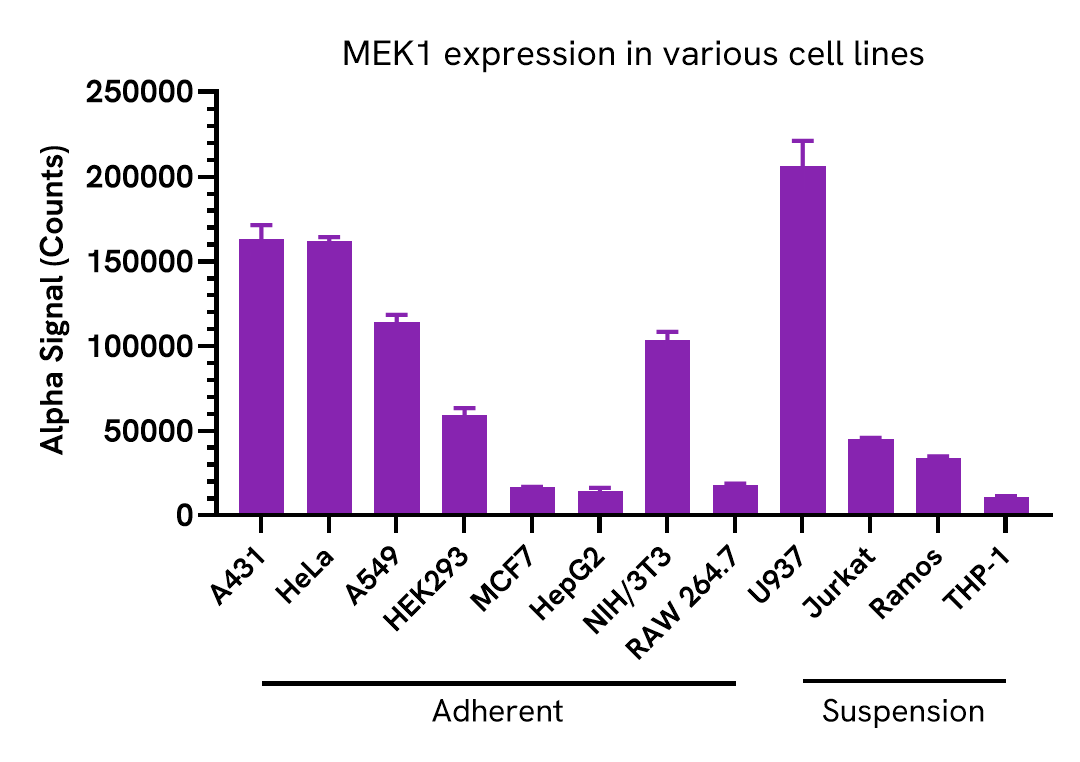 Versatility of MEK1 Total assay in various cell lines