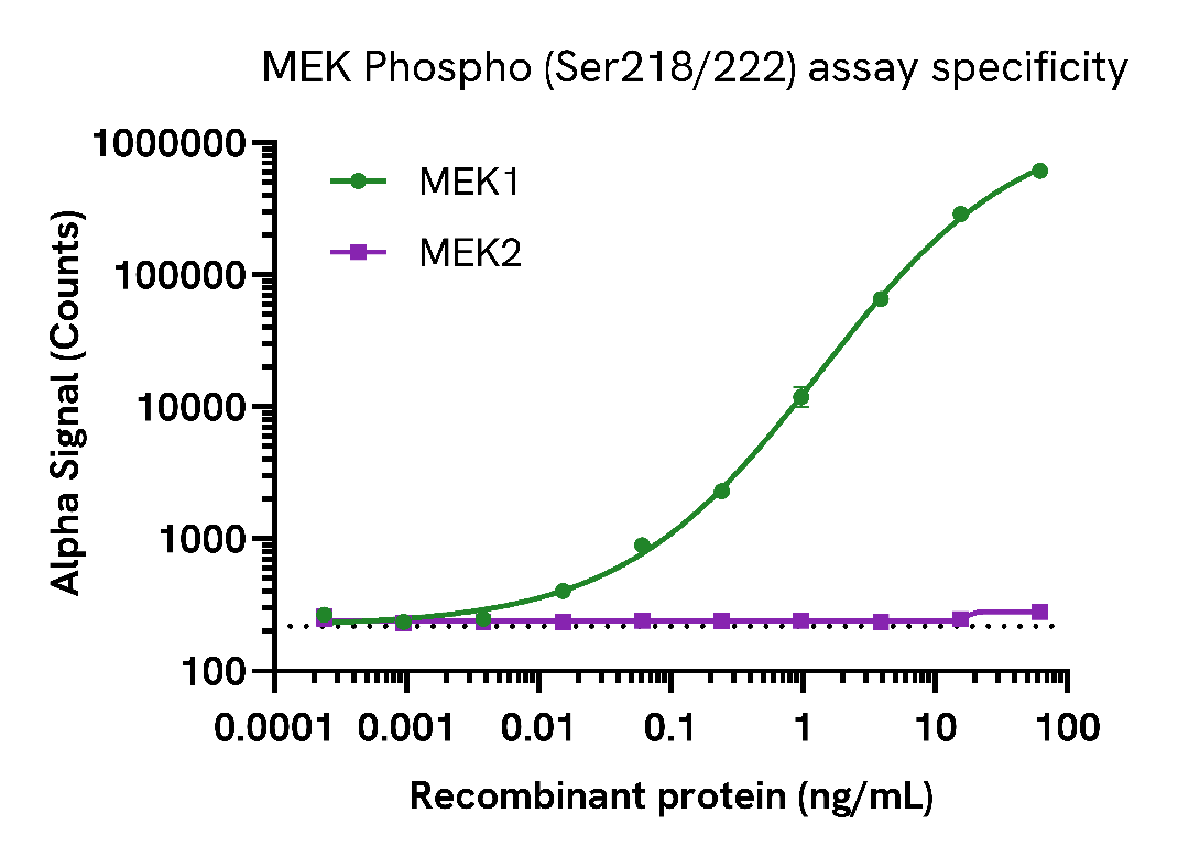 MEK1 Phospho (Ser218/222) assay specificity