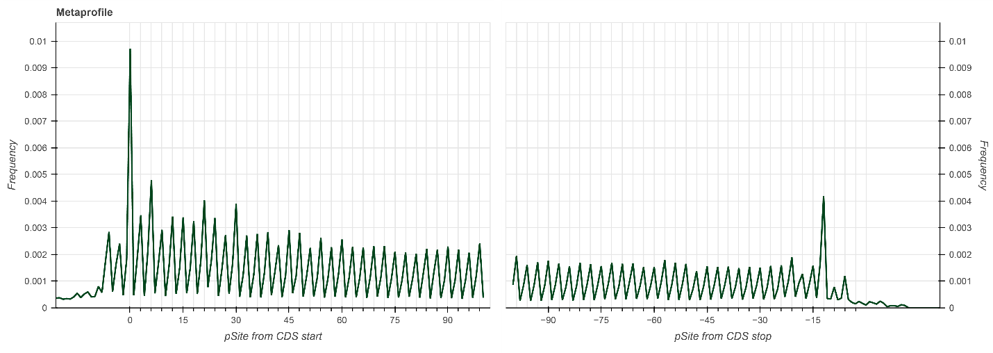 Metaprofile plots from RiboLace with NEXTFLEX Small RNA-seq v4 showing ribosome P-site enrichment at CDS start and stop sites with clear three-nucleotide periodicity.