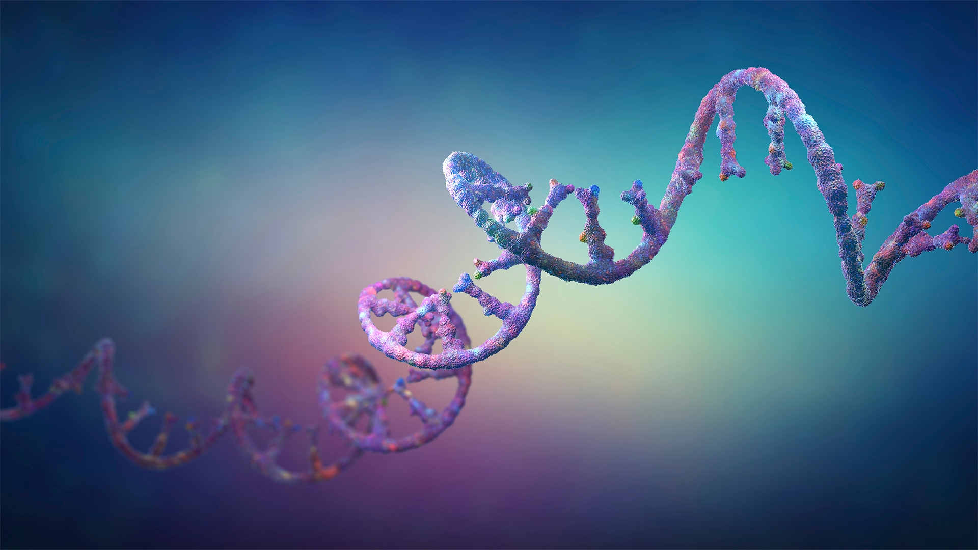 Nascent Transcriptome Analysis: Methods & Applications