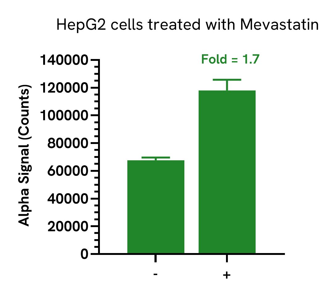 Pharmacological validation (LDLR Total) – upregulation of expression