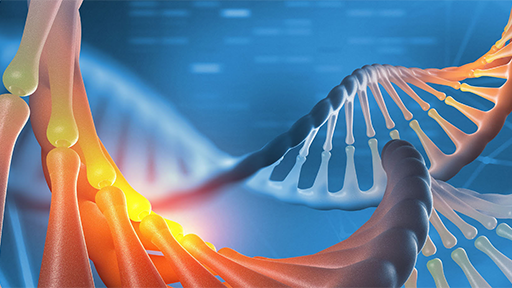 microfluidic protein characterization