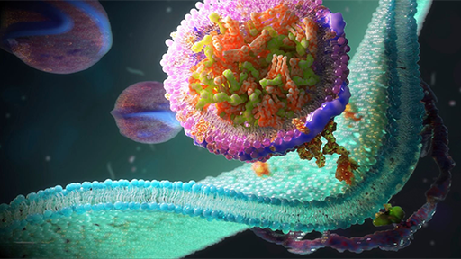 microfluidic protein characterization