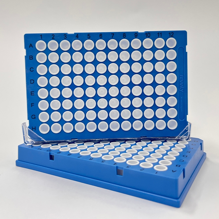 HardShell PCR Plate 96-well, blue-shell, white wells, case of 50