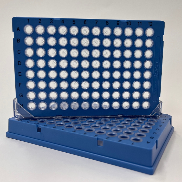 HardShell PCR Plate 96-well, blue-shell, clear wells, case of 50