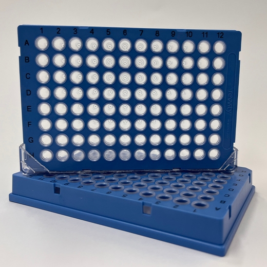 HardShell PCR Plate 96-well, blue-shell, clear wells, case of 50
