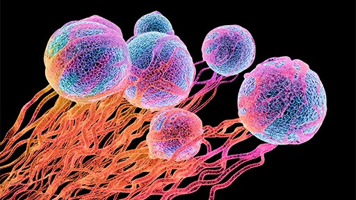 Mimix™ Geni™ Onco Mix 1 DNA/RNA FFPE Reference Standard