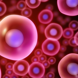 mimix genomic dna male thumbnail