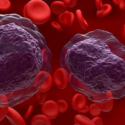 mimix lymphoid cancer panel thumbnail