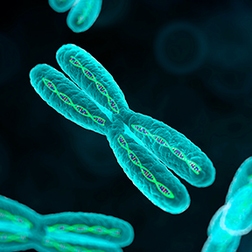 mimix nipt reference standards thumbnail