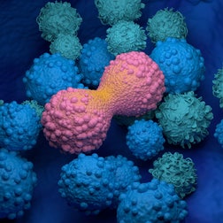 Mimix OncoSpan gDNA reference standard IVD