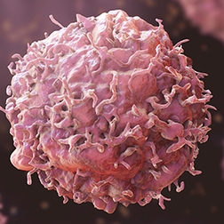 mimix pten loss thumbnail